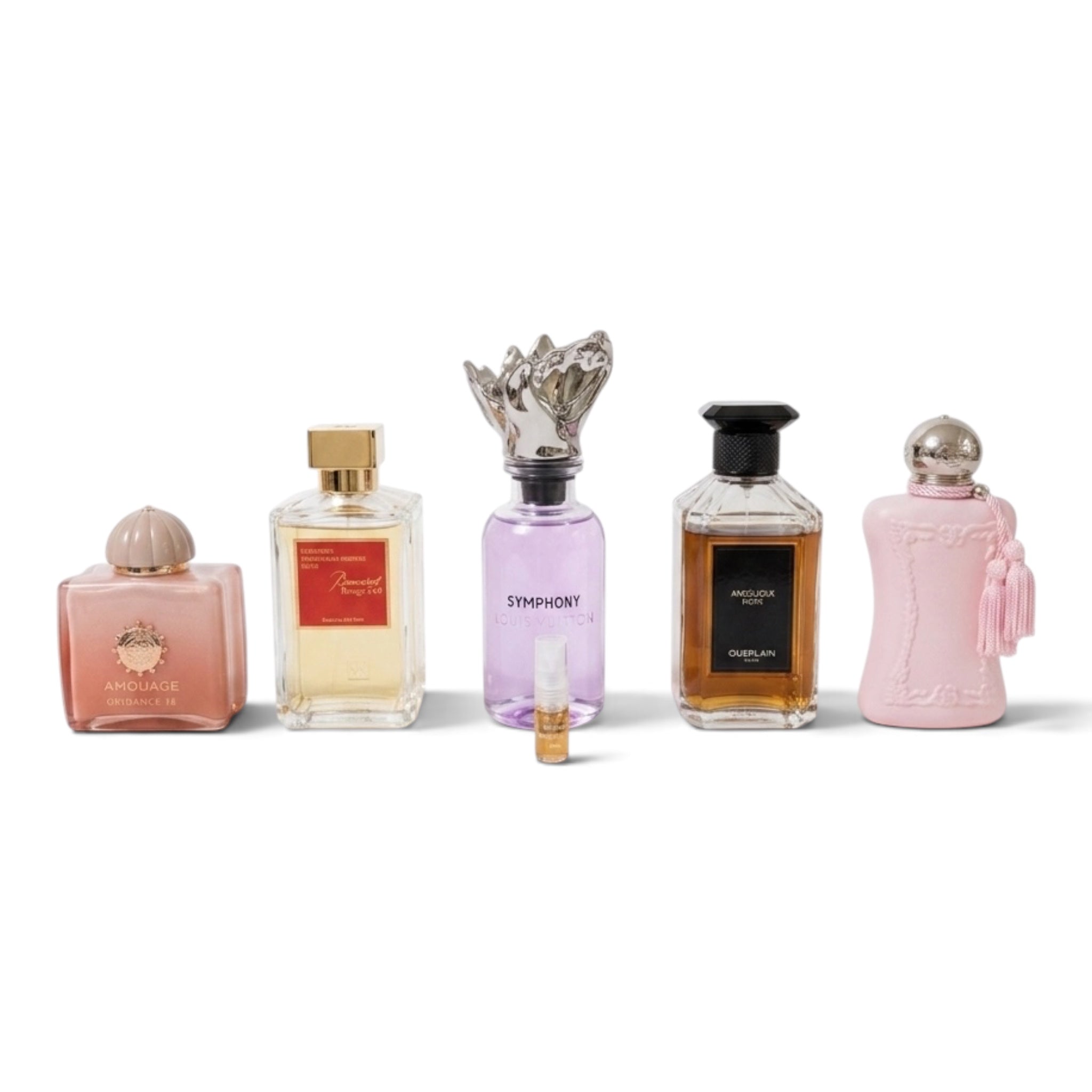 Discovery Set: Top 5 (Feminine)